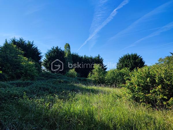 Charmant terrain non constructible, accessible par un chemin privé niché sur 5088 m². Offrant une vue dégagée sur campagne environnante dans un hameau, le lieu est planté d’arbres fruitiers et bénéficie d’un environnement calme et préservé. Idéal pour jardinage, verger, loisirs de plein air ou projet agricole.
Caractéristiques principales :
- Statut : non constructible
- Accès : chemin privé carrossable
- Exposition : Sud 
- Eau/électricité : pas de raccordement
- Végétation : Arbres fruitiers
- Environnement : calme, vue panoramique sur la campagne.