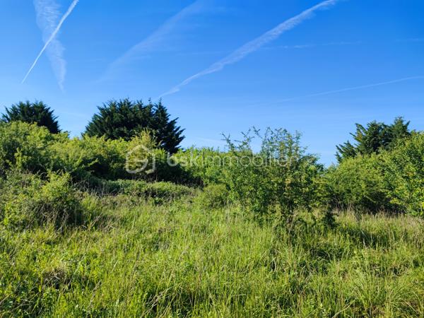 Charmant terrain non constructible, accessible par un chemin privé niché sur 5088 m². Offrant une vue dégagée sur campagne environnante dans un hameau, le lieu est planté d’arbres fruitiers et bénéficie d’un environnement calme et préservé. Idéal pour jardinage, verger, loisirs de plein air ou projet agricole.
Caractéristiques principales :
- Statut : non constructible
- Accès : chemin privé carrossable
- Exposition : Sud 
- Eau/électricité : pas de raccordement
- Végétation : Arbres fruitiers
- Environnement : calme, vue panoramique sur la campagne.