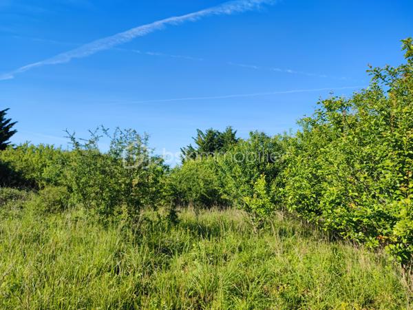 Charmant terrain non constructible, accessible par un chemin privé niché sur 5088 m². Offrant une vue dégagée sur campagne environnante dans un hameau, le lieu est planté d’arbres fruitiers et bénéficie d’un environnement calme et préservé. Idéal pour jardinage, verger, loisirs de plein air ou projet agricole.
Caractéristiques principales :
- Statut : non constructible
- Accès : chemin privé carrossable
- Exposition : Sud 
- Eau/électricité : pas de raccordement
- Végétation : Arbres fruitiers
- Environnement : calme, vue panoramique sur la campagne.