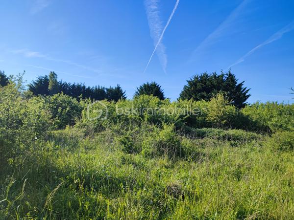 Charmant terrain non constructible, accessible par un chemin privé niché sur 5088 m². Offrant une vue dégagée sur campagne environnante dans un hameau, le lieu est planté d’arbres fruitiers et bénéficie d’un environnement calme et préservé. Idéal pour jardinage, verger, loisirs de plein air ou projet agricole.
Caractéristiques principales :
- Statut : non constructible
- Accès : chemin privé carrossable
- Exposition : Sud 
- Eau/électricité : pas de raccordement
- Végétation : Arbres fruitiers
- Environnement : calme, vue panoramique sur la campagne.