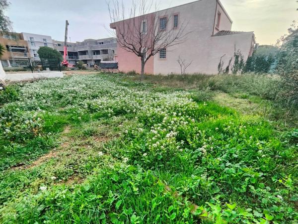 Dpt Hérault (34), à vendre FRONTIGNAN terrain 363M²