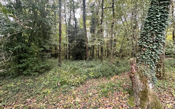 Terrain à vendre    Saintes