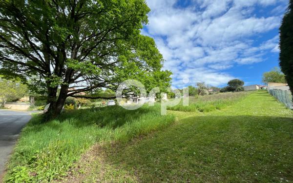 Terrain à vendre    Ussac