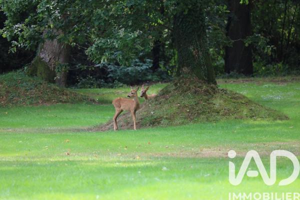 Maison à vendre 7 pièces 280 m² Saint-Maclou
