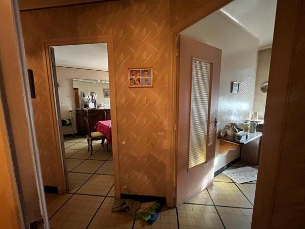 immeuble pont de cheruy centre ville garage cave terrasse appartement T4 local commercial grenier amenageable gros potentiel