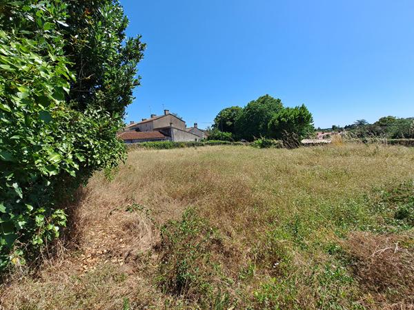 Terrain constructible  de 433 m² situé sur la commune de Rives d'Autise hors lotissement