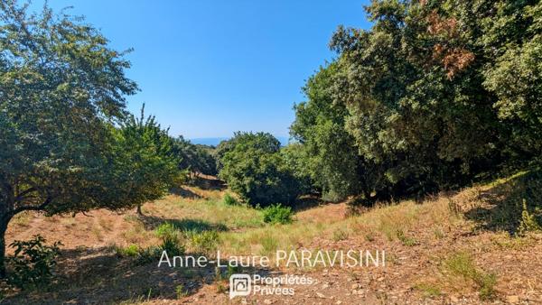 Maison, gîte indépendant et écuries sur 12 000 m² avec vue panoramique