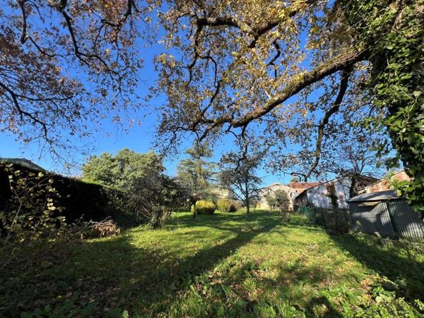 SAINT-SAVIN MAISON DE MAÎTRE Saint-Savin (33920)