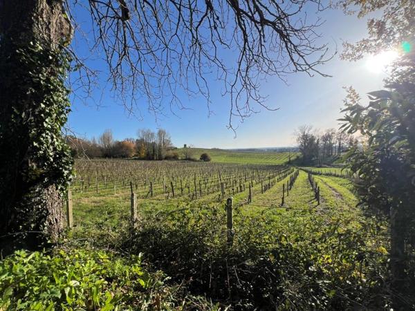 SAINT-SAVIN MAISON DE MAÎTRE Saint-Savin (33920)