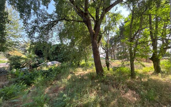 Terrain à vendre    La Turballe