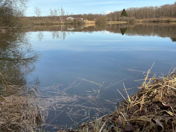 Etang fondé en titre,chalet en dur,  22000m² de surface.