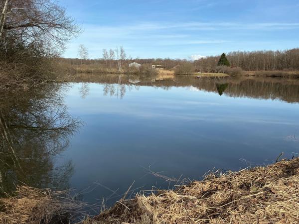 Etang fondé en titre,chalet en dur,  22000m² de surface.