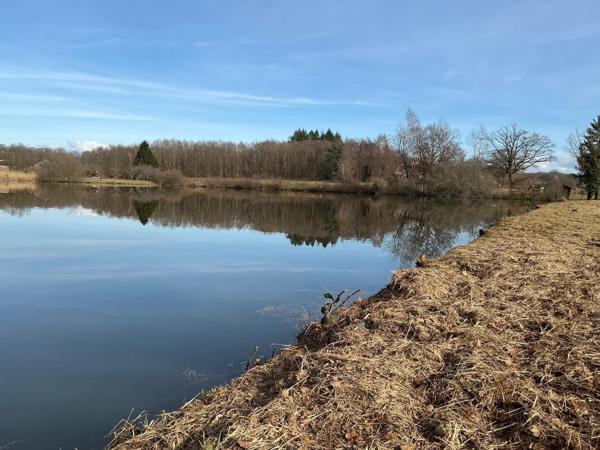Etang fondé en titre,chalet en dur,  22000m² de surface.