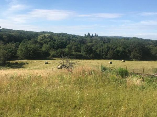 Vente / Terrain constructible
