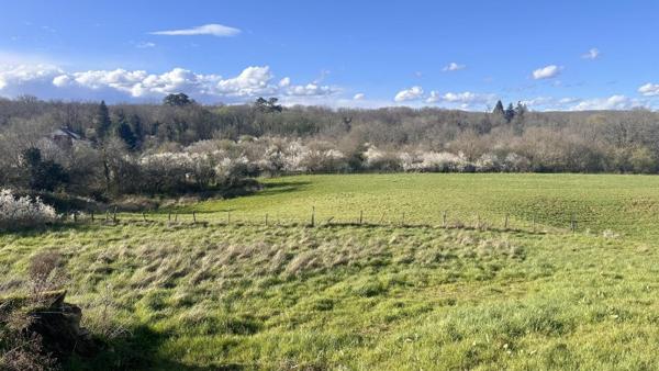 Vente / Terrain constructible