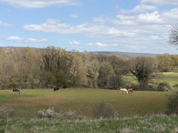 Vente / Terrain constructible