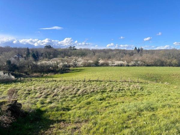 Vente / Terrain constructible