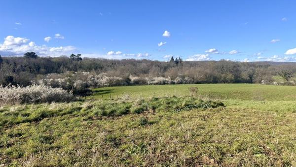Vente / Terrain constructible