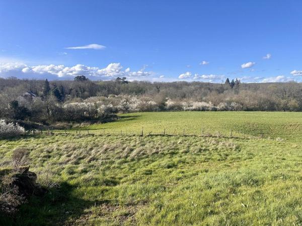 Vente / Terrain constructible