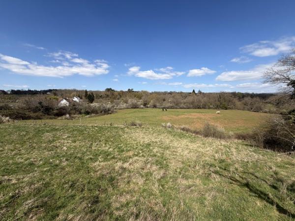 Vente / Terrain constructible