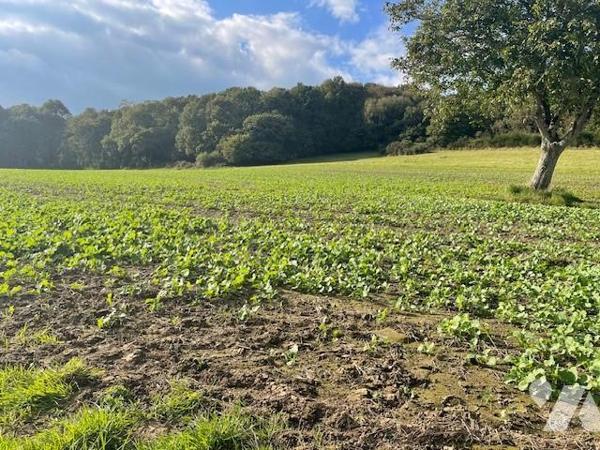 Le Gouray - Ensemble immobilier à réhabiliter