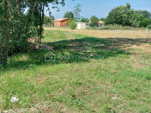 N'hésitez pas, devenir propriétaire d'un terrain sur la commune de Nègrepelisse, c'est possible. 
Vous aurez ainsi une surface constructible de 754m² pour créer votre nouvelle maison dans un endroit calme. Proche du centre ville, donc de toute commodité : écoles, docteurs, pharmacie, supermarchés..... A 10 minutes de Montauban.Lot n°17 sur 37 lots. Possibilité d'autres surfaces. Ce terrain est libre de tout constructeur, je peux vous aider, et vous proposer un projet avec un constructeur de maison individuelle sans aucune obligation de votre part, photo de maison non contractuelle. VENEZ VISITER CE BIEN AVEC BERDIN PATRICK DE L'AGENCE BSK IMMOBILIER AU 06-31-26-05-60 ou p.berdin@bskimmobilier.com  Annonce immobilière rédigée sous la responsabilité éditoriale de Patrick BERDIN - RSAC N° 494-071-749 - Ville du greffe : MONTAUBAN. RCP : 59661778www.georisques.gouv.fr