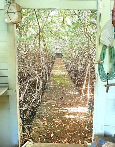 IMMEUBLE DE RAPPORT F 22 AU VAUCLIN ACCES DIRECT MER - PONTON PRIVE