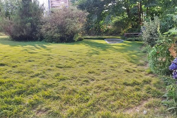 Maison Plain pied, de charme, non mitoyenne