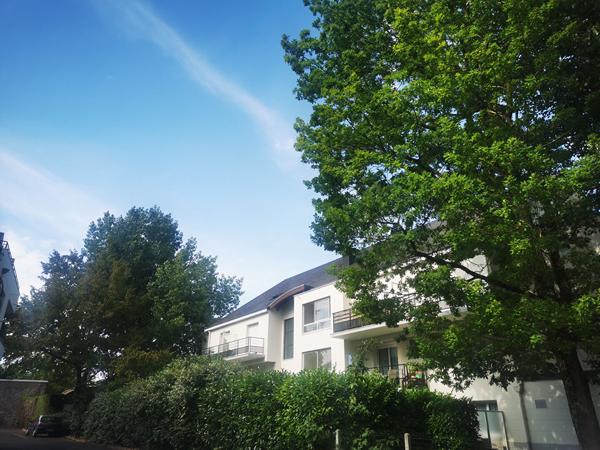 SAINT SYMPHORIEN - T2 avec deux terrasses