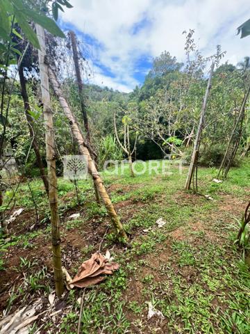 Achat terrain Ducos - 890 m² - 95 000 €