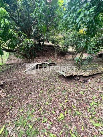 Achat terrain Ducos - 890 m² - 95 000 €