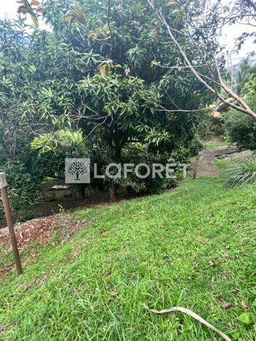 Achat terrain Ducos - 890 m² - 95 000 €