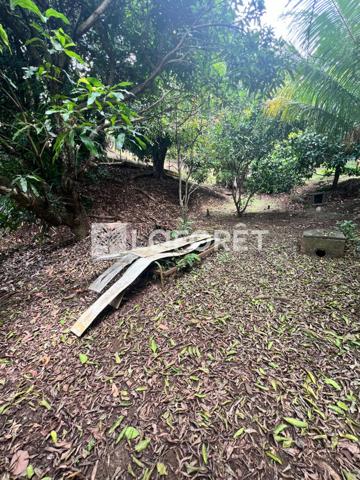 Achat terrain Ducos - 890 m² - 95 000 €