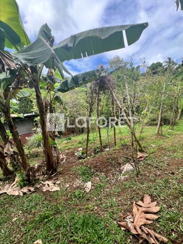 Achat terrain Ducos - 890 m² - 95 000 €