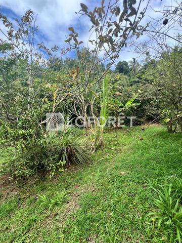 Achat terrain Ducos - 890 m² - 95 000 €