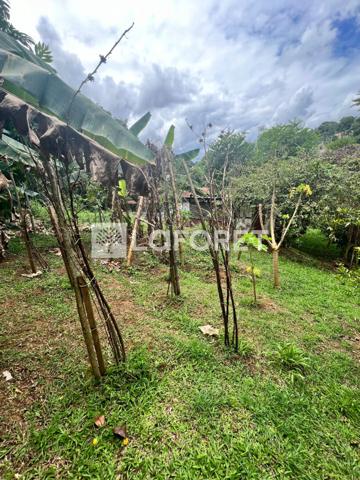 Achat terrain Ducos - 890 m² - 95 000 €