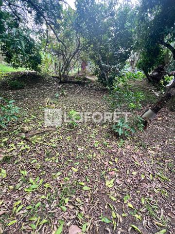 Achat terrain Ducos - 890 m² - 95 000 €