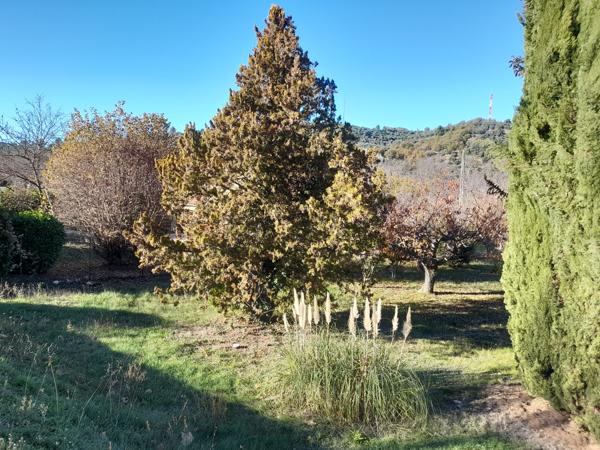 Terrain 664m² - Riez - Réf. 291 A