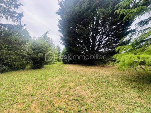 Dans un environnement paisible et agréable, venez découvrir ce beau terrain constructible d’environ 1 044 m², offrant un cadre idéal pour la réalisation de votre projet de vie. Non viabilisé et libre de constructeur, il vous laisse une totale liberté dans la conception et le choix de votre future habitation, selon vos envies et votre budget. Son emplacement au calme permet de profiter d’un cadre de vie privilégié tout en bénéficiant du potentiel nécessaire pour accueillir votre projet de construction. Une belle opportunité pour créer une maison à votre image dans un secteur recherché pour sa tranquillité.