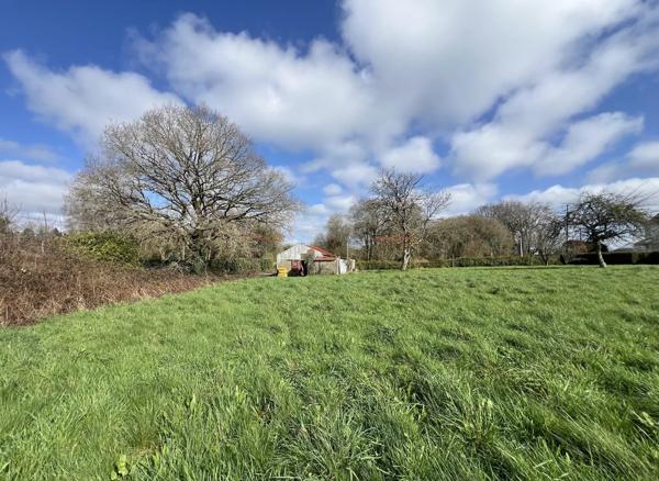 LANGUIDIC - TERRAIN CONSTRUCTIBLE - 2083M2