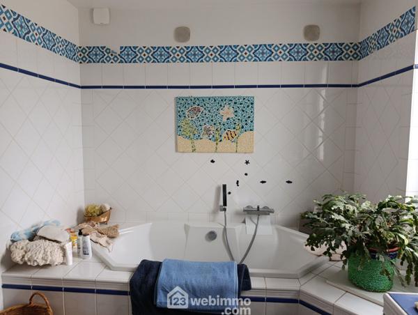 Maison bourgeoise 250 m² à Beyries 40700