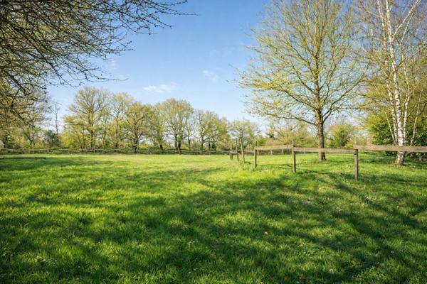 49360 Les Cerqueux – 20 min de Cholet – Longère 235 m² - 5/6 chambres - terrain 3 500 m² - activité possible - calme - commerces - écoles - bus - maison médicale - DPE C