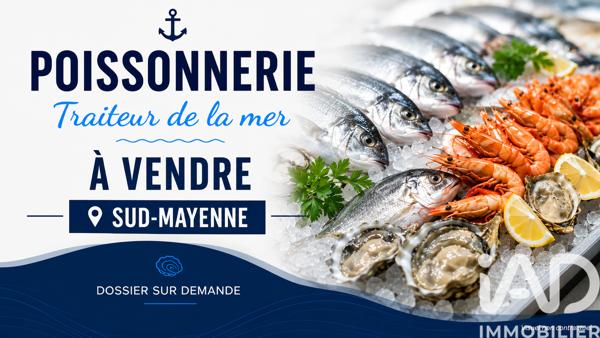 Divers Commerces à vendre 110 m² Château-Gontier-sur-Mayenne