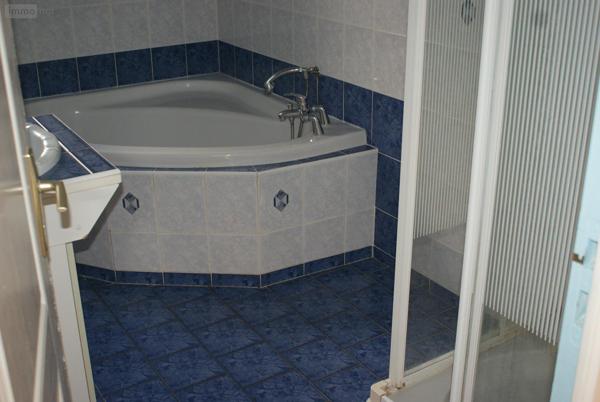 Pavillon à louer à Jonchery-sur-Vesle dans la Marne (51140), ref : JON