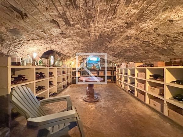 DOMAINE DE CARACTÈRE EN COEUR DE VILLE