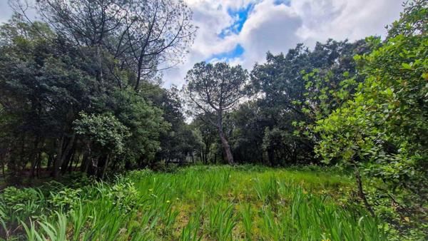 Terrain constructible à Palaja proche CARCASSONNE