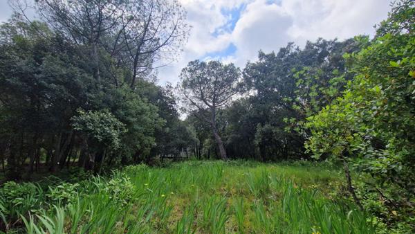 Terrain constructible à Palaja proche CARCASSONNE