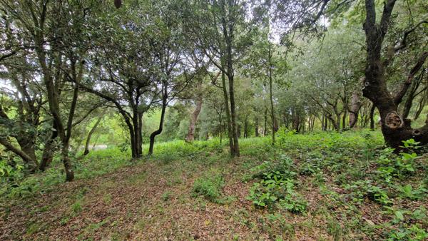 Terrain constructible à Palaja proche CARCASSONNE