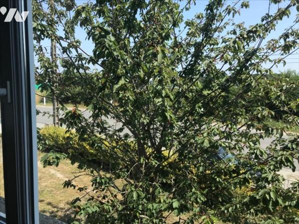 MAISON + APPARTEMENT, LOCMIQUELIC