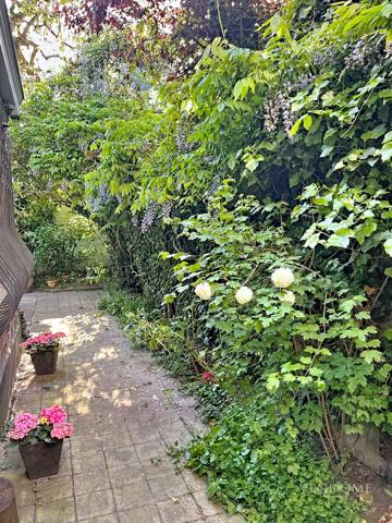 LILLE ST MICHEL - Maison de charme, 5 chambres possible 6, jardin LILLE